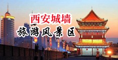 嗯啊嗯啊鸡巴要干逼里费视频中国陕西-西安城墙旅游风景区