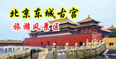 骚屄xxxx中国北京-东城古宫旅游风景区